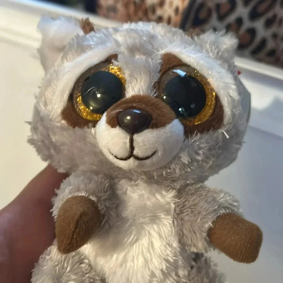 🦖 NWT TY beanie Oakie the Raccoon - Picture 3 of 5